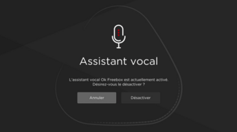 assistant-vocal-freebox-delta